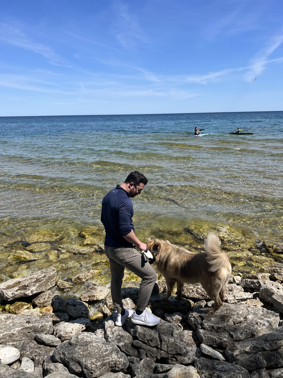 Shoreline with the dog